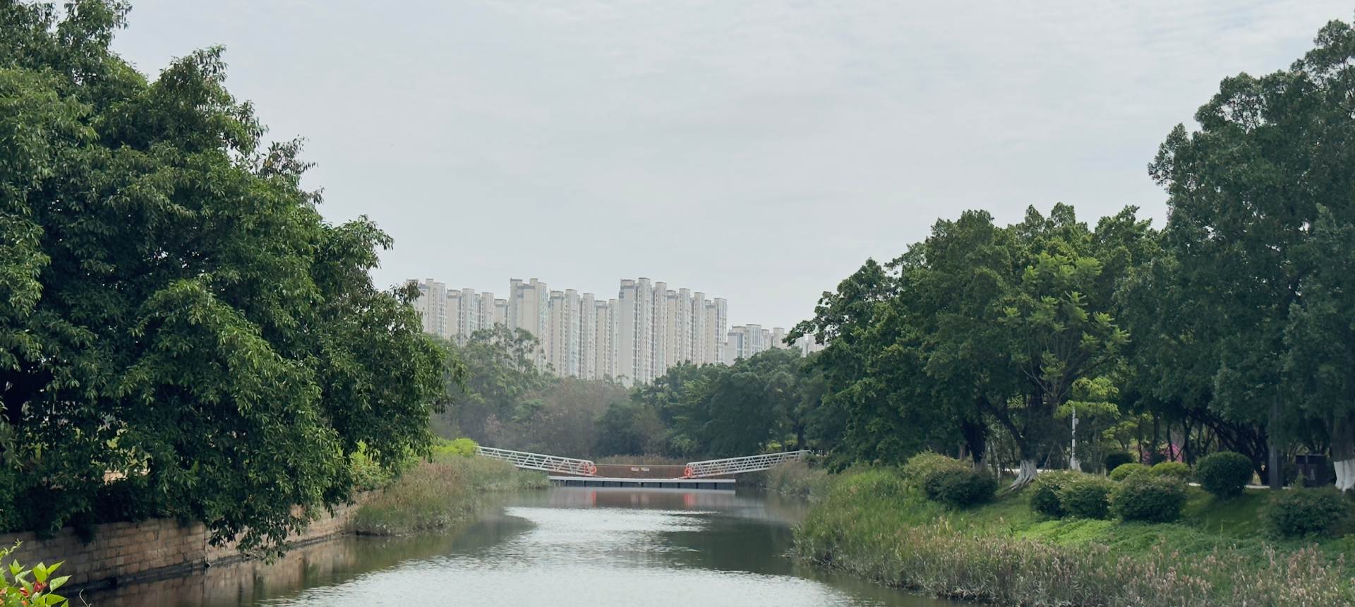 新建项目 (4).jpg